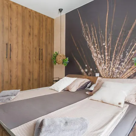 Apartment Belvedere By Seeadria Agency Novigrad (Istria)